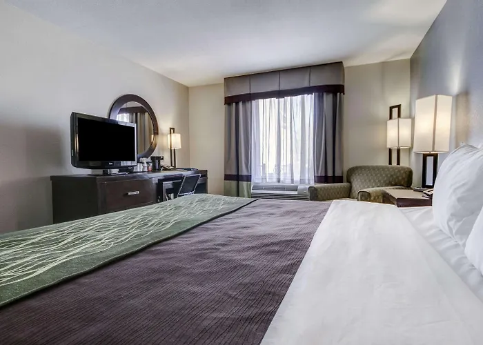 Comfort Inn & Suites I-10 Airport